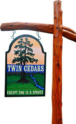 Twin Cedars - Except One is a Spruce